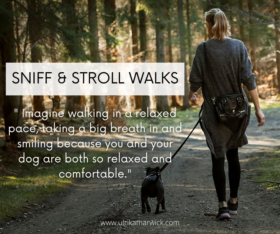 Ulrika Marwick - Reactive, stressed and anxious dogs - sniff and stroll walk