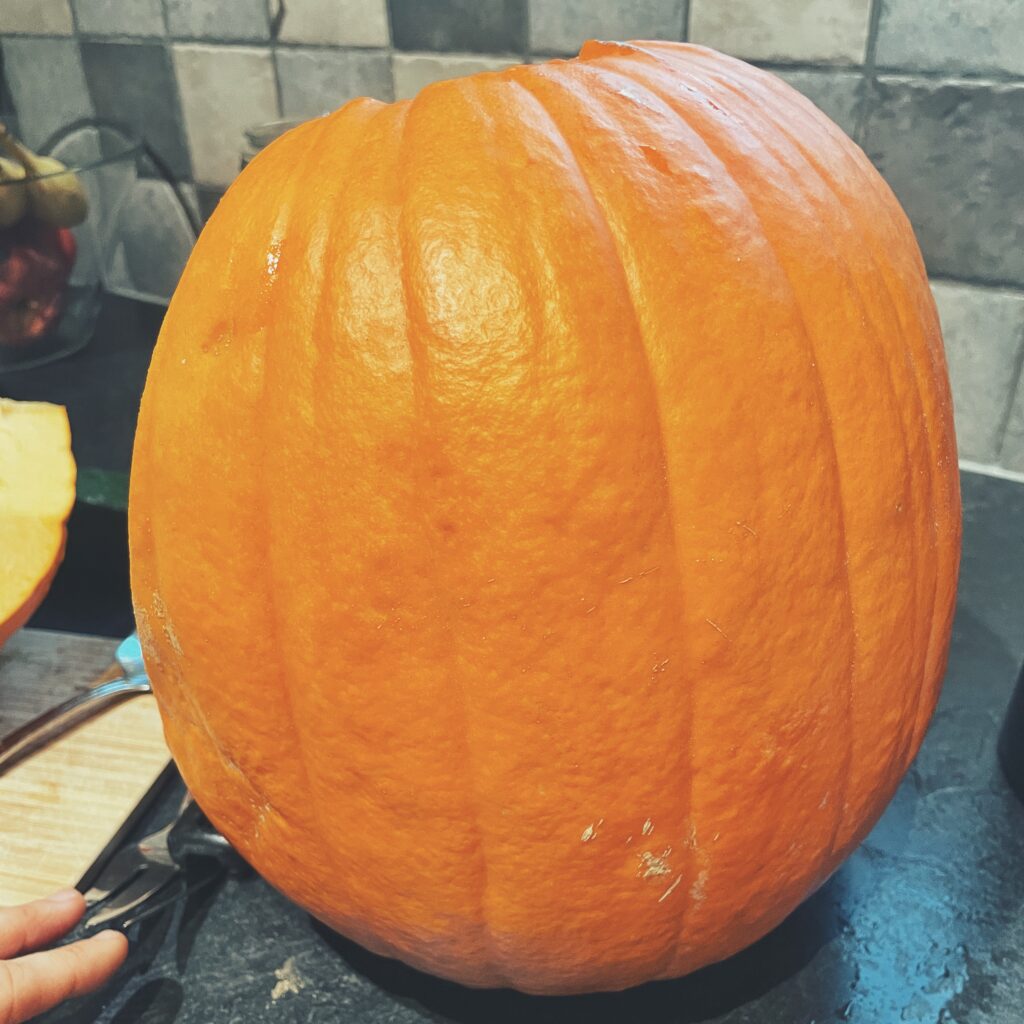 how-to-prepare-pumpkin-for-your-dog-ulrika-marwick-your-canine